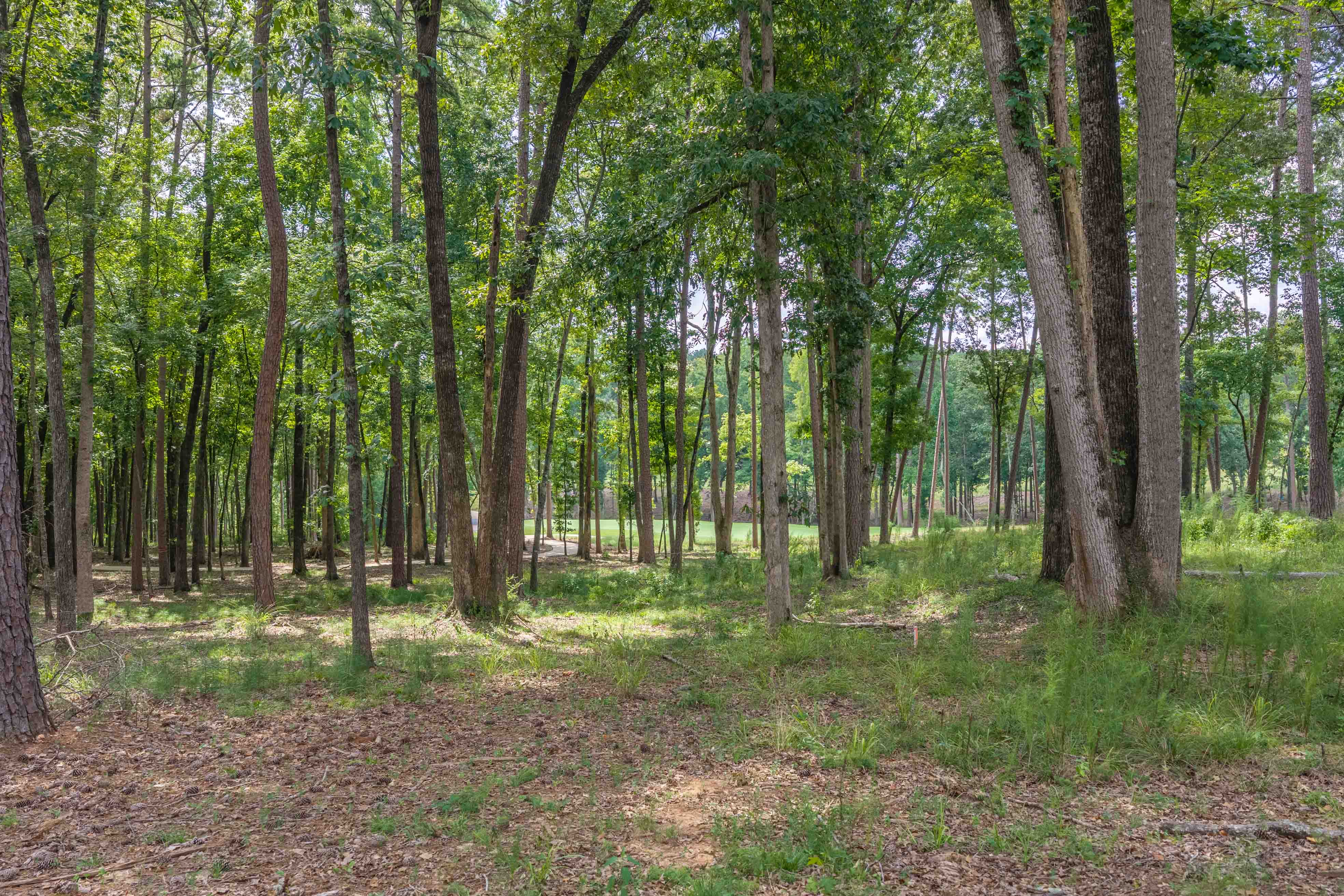 1131 Grove Ridge View image 7